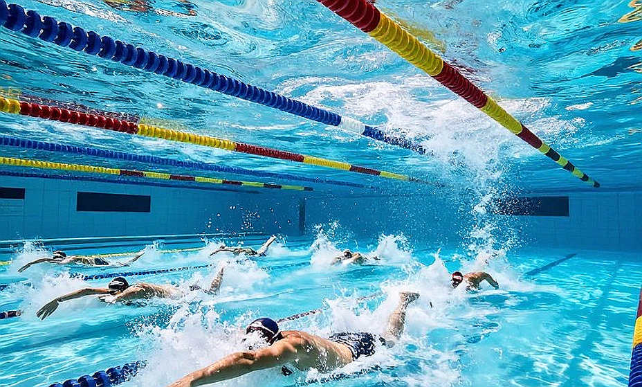 Jayla Kuzak Verbals to Pitt for Fall 2027: Reading the Near-10-Second Drop in the 500 Freestyle